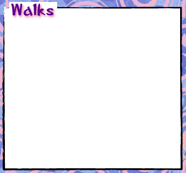 walking info panel